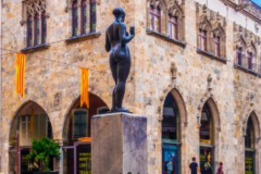 les_alberes_perpignan-5